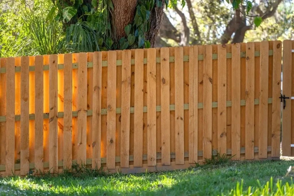 timber paling fence