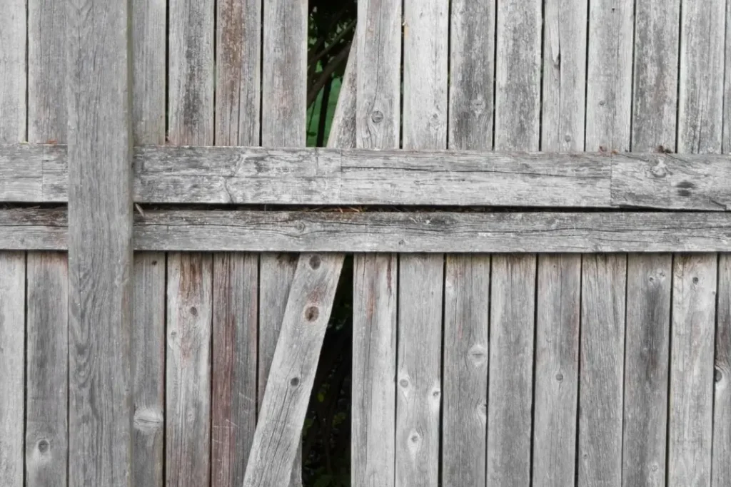 loose timber in a fence